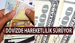 Euro ve Dolar'da Son Durum