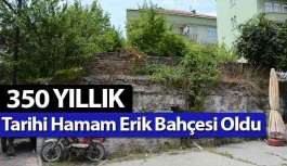 Tarihi Hamam Erik Bahçesi Oldu