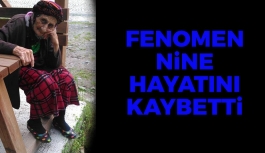 Fenomen Nine Hayatını Kaybetti