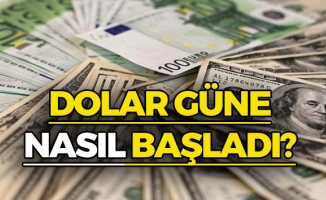 Dolar Fiyatları