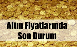 Çeyrek Altın Yükselişini Sürdürdü