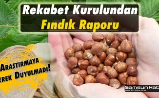 Rekabet Kurulundan Fındık Açıklaması