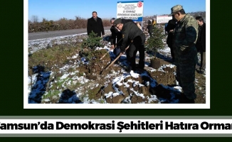 Samsun'a Demokrasi Şehitleri Ormanı