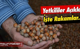 Yetkililer Fındık Rakamlarını Açıkladı