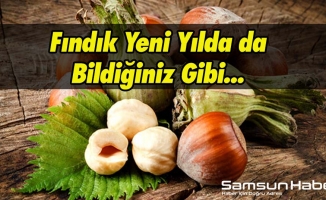 Fındık Yeni Yılda da Bildiğiniz Gibi