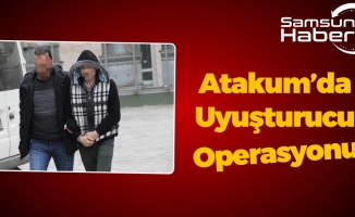 Atakum'da Bonzai Operasyonu!