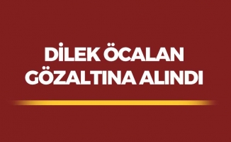 Dilek Öcalan Gözaltına Alındı