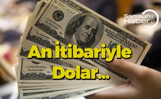 Dolar Düşüyor mu ?