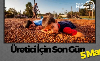 Fındık Üreticisi İçin Son Gün 5 Mart!