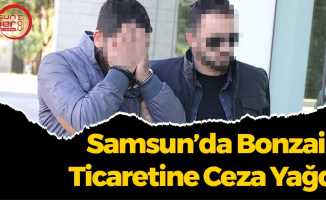 Samsun’da Bonzai Ticaretine Ceza Yağdı