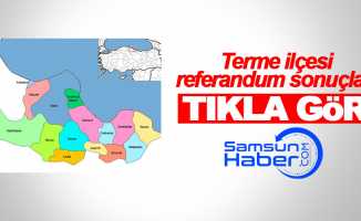 Samsun Terme ilçesi referandum sonuçları