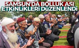 Samsun’da bolluk aşı etkinlikleri