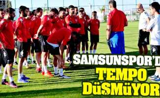 Samsunspor'da tempo düşmüyor