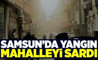 Samsun'da yangın mahalleyi sardı