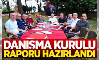 Danışma Kurulu raporunu hazırladı