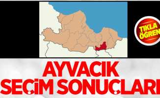 Samsun Ayvacık seçim sonuçları