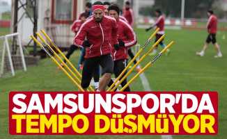 Samsunspor'da tempo düşmüyor 