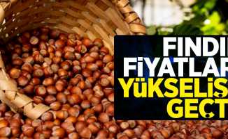 Fındık fiyatları yükselişe geçti