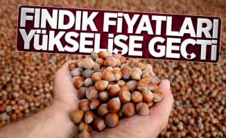 Fındık fiyatları yükselişe geçti! | 15 Şubat Cuma