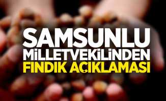 Samsunlu milletvekilinden fındık açıklaması