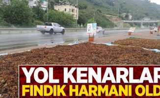 Yol kenarları fındık harmanı oldu