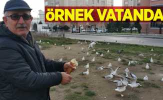 Örnek vatandaş