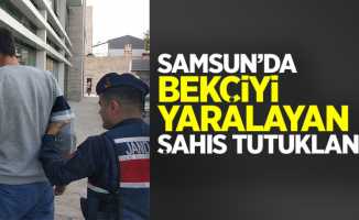 Samsun'da bekçiyi yaralayan şahıs tutuklandı