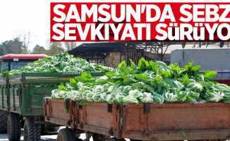 Samsun'da sebze sevkıyatı sürüyor