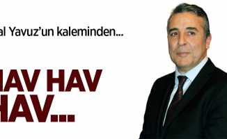 HAV HAV HAV...