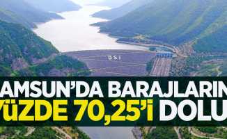 Samsun'da barajların yüzde 70,25'i dolu