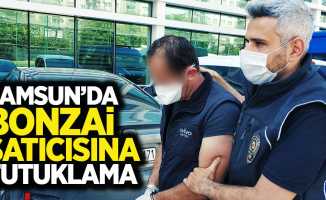 Samsun'da bonzai satıcısına tutuklama