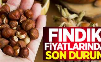 Fındık fiyatlarında son durum