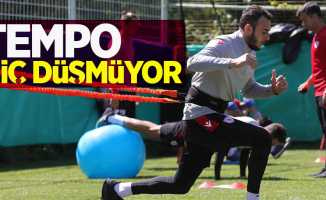 Tempo hiç  düşmüyor 