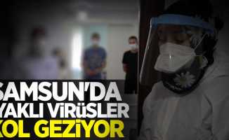 Samsun'da ayaklı virüsler kol geziyor