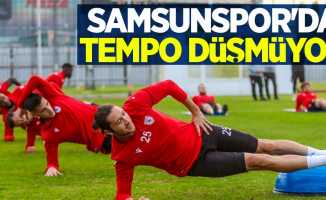 Samsunspor'da tempo düşmüyor 