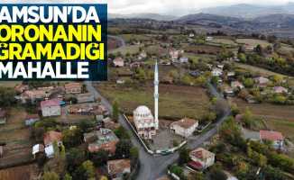 Samsun'da koronanın uğramadığı mahalle