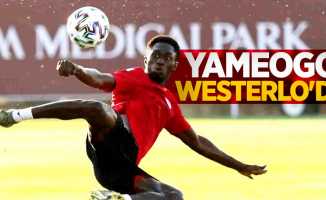 Yameogo Westerlo'da 