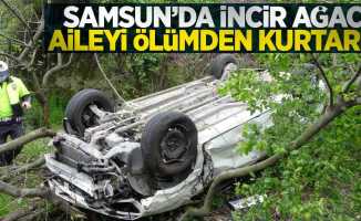 Samsun'da incir ağacı aileyi ölümden kurtardı