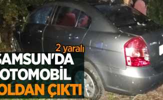 Samsun'da otomobil yoldan çıktı