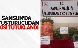 Samsun'da uyuşturucudan 1 kişi tutuklandı