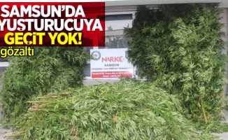 Samsun'da uyuşturucuya geçit yok: 1 gözaltı