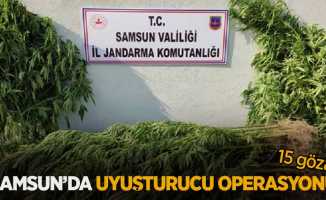 Samsun'da uyuşturucu operasyonu: 15 gözaltı