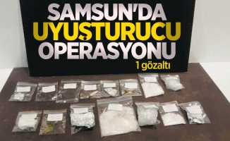 Samsun'da uyuşturucu operasyonu: 1 gözaltı