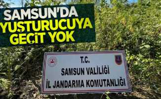 Samsun'da uyuşturucuya geçit yok