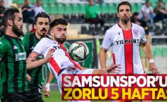 Samsunspor'un zorlu 5 haftası 