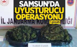 Samsun'da uyuşturucu operasyonu: 1 gözaltı