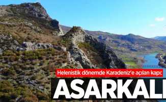 Helenistik dönemde Karadeniz'e açılan kapı: Asarkale