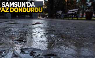 Samsun'da ayaz dondurdu