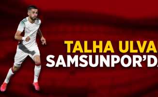 Talha Ulvan Samsunspor'da