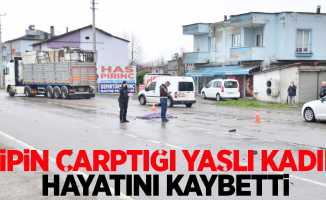 Cipin çarptığı yaşlı kadın hayatını kaybetti